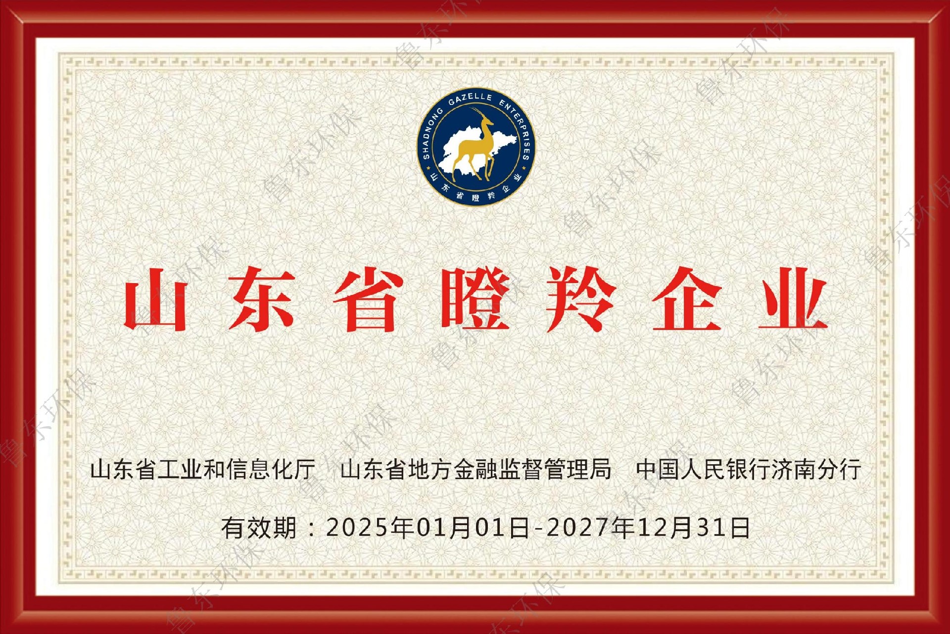 缓蚀阻垢剂厂家-山东省瞪羚企业